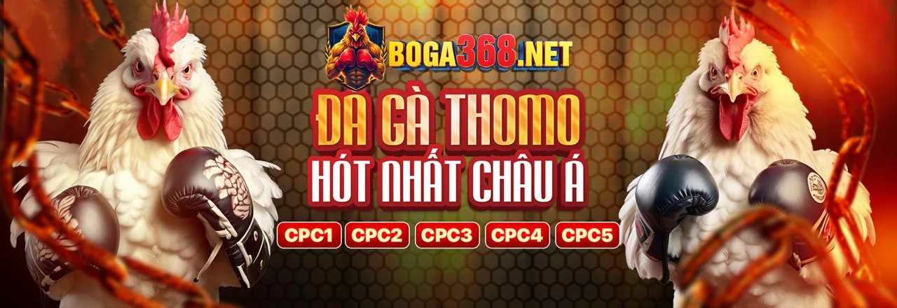 Hoàn trả hàng tuần đá gà